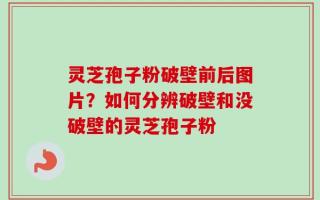 灵芝孢子粉破壁前后图片？如何分辨破壁和没破壁的灵芝孢子粉