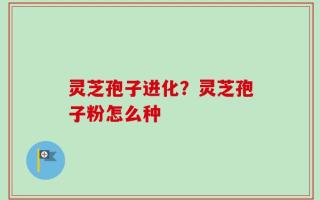 灵芝孢子进化？灵芝孢子粉怎么种