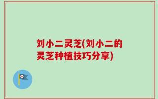 刘小二灵芝(刘小二的灵芝种植技巧分享)