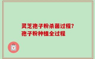 灵芝孢子粉杀菌过程？孢子粉种植全过程