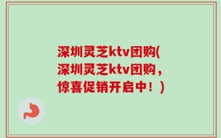 深圳灵芝ktv团购(深圳灵芝ktv团购，惊喜促销开启中！)