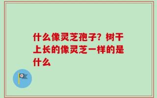 什么像灵芝孢子？树干上长的像灵芝一样的是什么