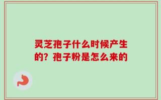 灵芝孢子什么时候产生的？孢子粉是怎么来的