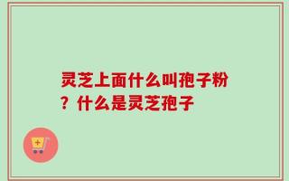 灵芝上面什么叫孢子粉？什么是灵芝孢子