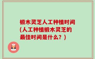 椴木灵芝人工种植时间(人工种植椴木灵芝的最佳时间是什么？)