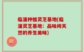 临潼种植灵芝基地(临潼灵芝基地：品味纯天然的养生美味)