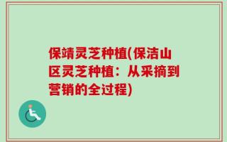 保靖灵芝种植(保洁山区灵芝种植：从采摘到营销的全过程)