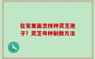 在家里面怎样种灵芝孢子？灵芝母种制做方法