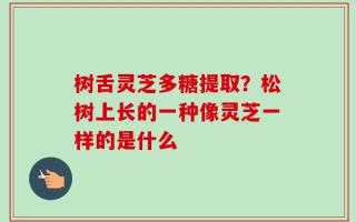 树舌灵芝多糖提取？松树上长的一种像灵芝一样的是什么