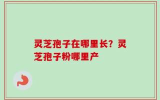 灵芝孢子在哪里长？灵芝孢子粉哪里产