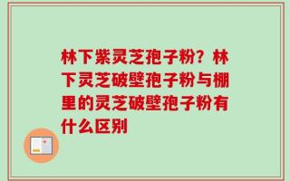 林下紫灵芝孢子粉？林下灵芝破壁孢子粉与棚里的灵芝破壁孢子粉有什么区别