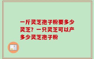 一斤灵芝孢子粉要多少灵芝？一只灵芝可以产多少灵芝孢子粉