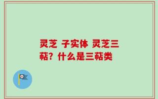 灵芝 子实体 灵芝三萜？什么是三萜类