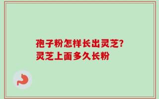 孢子粉怎样长出灵芝？灵芝上面多久长粉