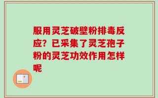 服用灵芝破壁粉排毒反应？已采集了灵芝孢子粉的灵芝功效作用怎样呢