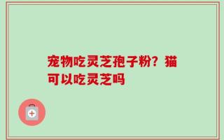 宠物吃灵芝孢子粉？猫可以吃灵芝吗
