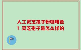 人工灵芝孢子粉咖啡色？灵芝孢子是怎么样的
