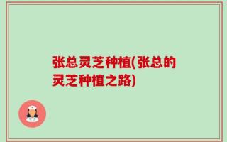 张总灵芝种植(张总的灵芝种植之路)