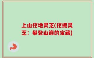 上山挖地灵芝(挖掘灵芝：攀登山巅的宝藏)