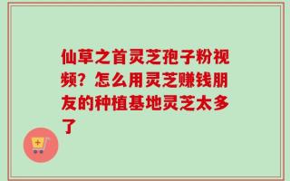仙草之首灵芝孢子粉视频？怎么用灵芝赚钱朋友的种植基地灵芝太多了