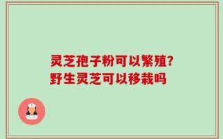 灵芝孢子粉可以繁殖？野生灵芝可以移栽吗