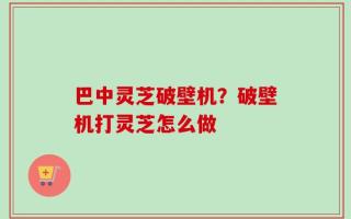 巴中灵芝破壁机？破壁机打灵芝怎么做