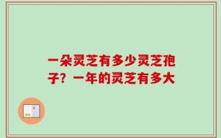 一朵灵芝有多少灵芝孢子？一年的灵芝有多大