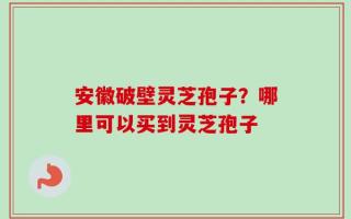 安徽破壁灵芝孢子？哪里可以买到灵芝孢子
