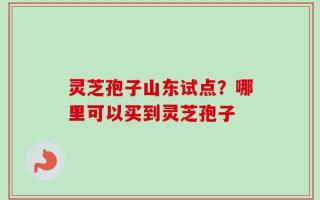 灵芝孢子山东试点？哪里可以买到灵芝孢子