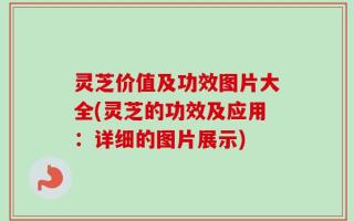 灵芝价值及功效图片大全(灵芝的功效及应用：详细的图片展示)
