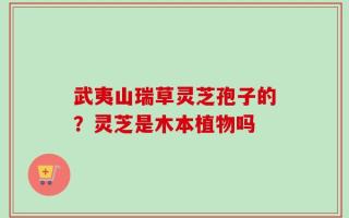 武夷山瑞草灵芝孢子的？灵芝是木本植物吗