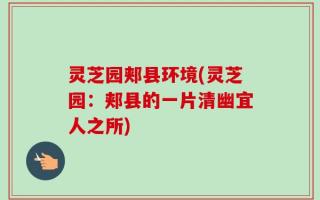 灵芝园郏县环境(灵芝园：郏县的一片清幽宜人之所)