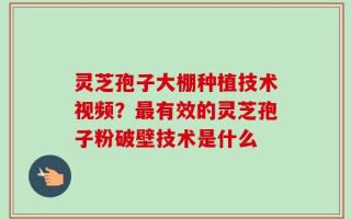 灵芝孢子大棚种植技术视频？最有效的灵芝孢子粉破壁技术是什么