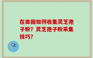 在田园如何收集灵芝孢子粉？灵芝孢子粉采集技巧？