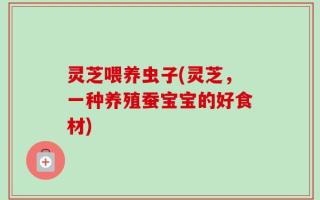 灵芝喂养虫子(灵芝，一种养殖蚕宝宝的好食材)