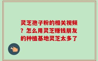 灵芝孢子粉的相关视频？怎么用灵芝赚钱朋友的种植基地灵芝太多了