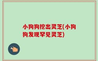 小狗狗挖出灵芝(小狗狗发现罕见灵芝)