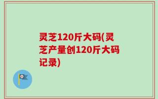 灵芝120斤大码(灵芝产量创120斤大码记录)