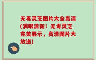 无毒灵芝图片大全高清(满眼清新！无毒灵芝完美展示，高清图片大放送)