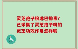 灵芝孢子粉淋巴排毒？已采集了灵芝孢子粉的灵芝功效作用怎样呢