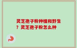 灵芝孢子粉种植和野生？灵芝孢子粉怎么种