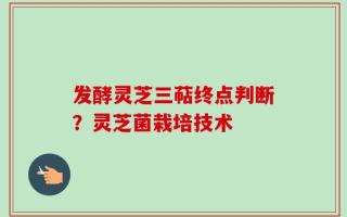 发酵灵芝三萜终点判断？灵芝菌栽培技术