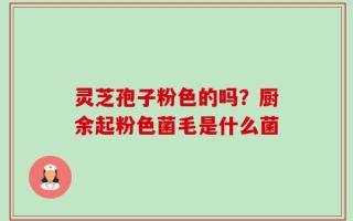 灵芝孢子粉色的吗？厨余起粉色菌毛是什么菌