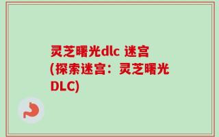 灵芝曙光dlc 迷宫(探索迷宫：灵芝曙光DLC)