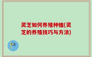 灵芝如何养殖种植(灵芝的养殖技巧与方法)