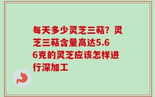 每天多少灵芝三萜？灵芝三萜含量高达5.66克的灵芝应该怎样进行深加工