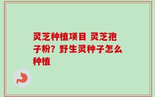灵芝种植项目 灵芝孢子粉？野生灵种子怎么种植