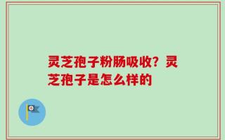 灵芝孢子粉肠吸收？灵芝孢子是怎么样的
