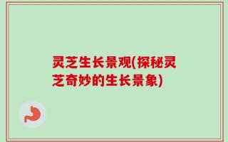 灵芝生长景观(探秘灵芝奇妙的生长景象)