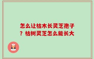 怎么让枯木长灵芝孢子？枯树灵芝怎么能长大